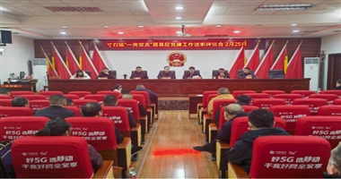 寸石镇召开2024年度“一岗双责”暨 基层党建工作述职评议会议